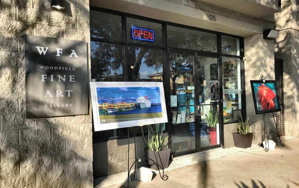 Woodfield Fine Arts' Emerging Artists Showcase Alive Tampa Bay